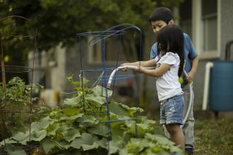 Tips berkebun di lahan yang sempit. (FOTO: Pixabay).